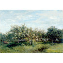 Репродукции на картини: Цъфнали ябълкови дървета (1873) – Шарл-Франсоа Добини